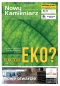 Nowy Kamieniarz nr 113
